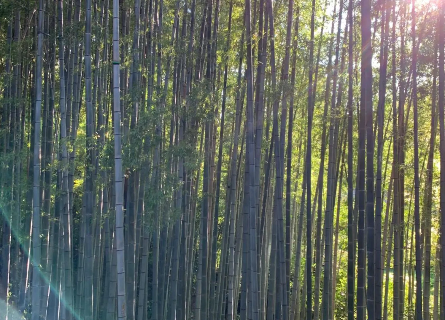 The Rareage Hakone-Yumoto By Mloc Apartment Japan