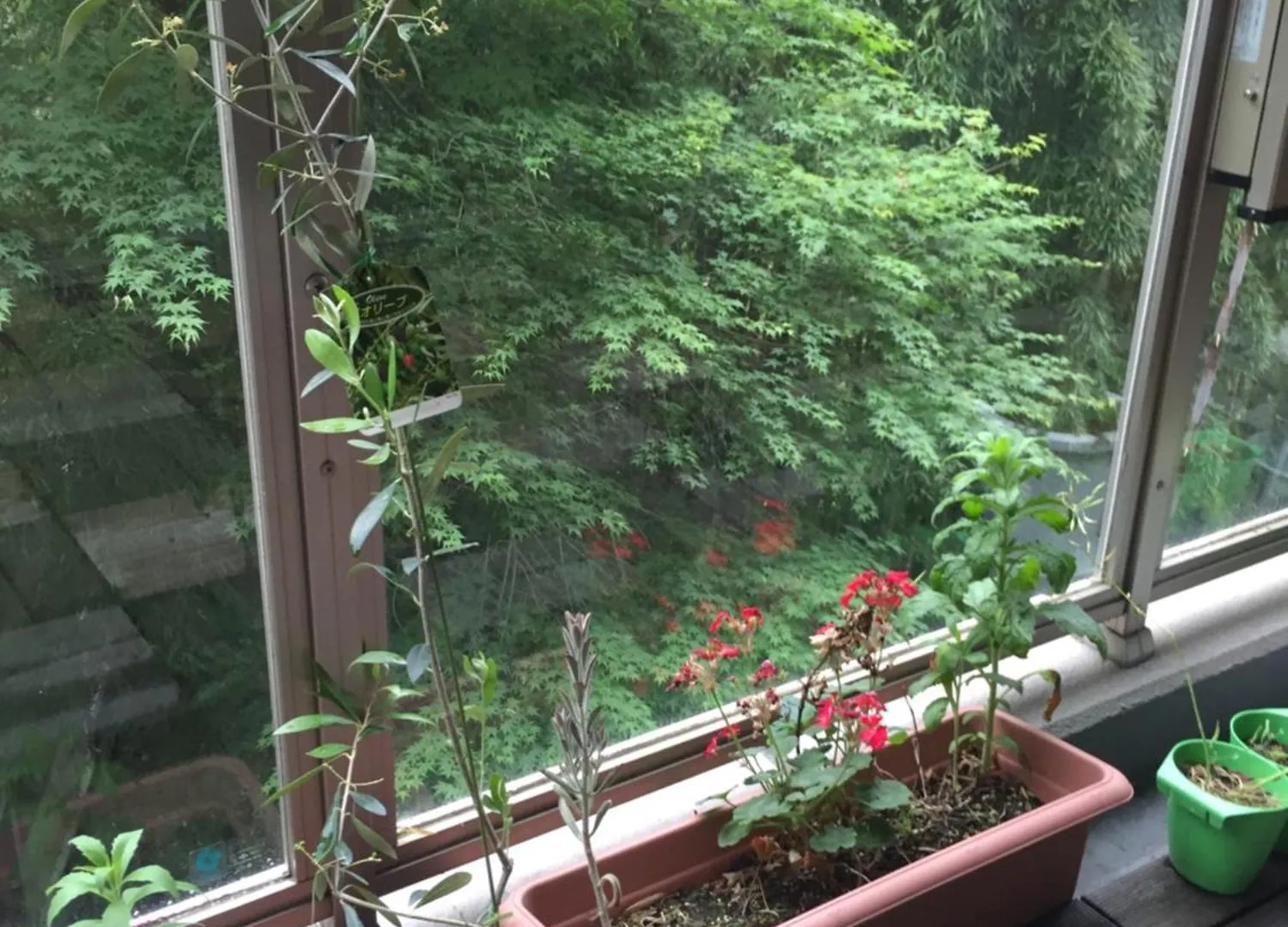 The Rareage Hakone-Yumoto By Mloc Apartment