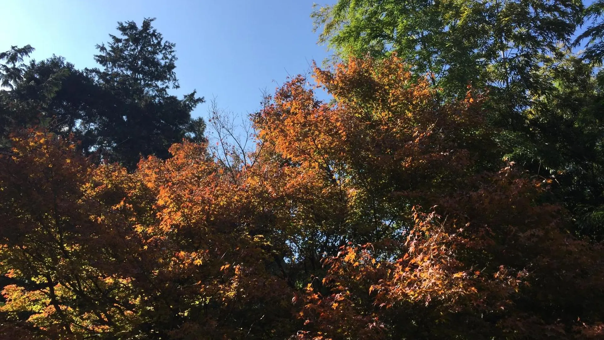 The Rareage Hakone-Yumoto By Mloc Apartment  Hakone
